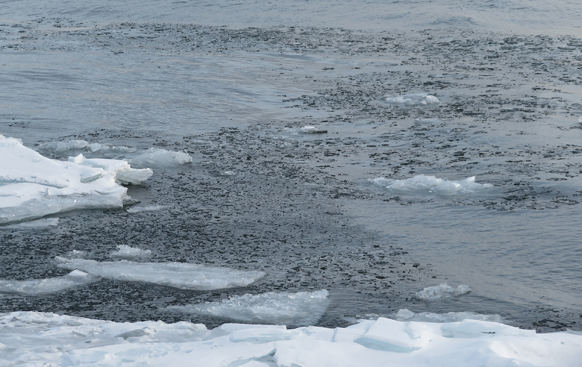 Frazil and brash ice floating in Lake Superior.