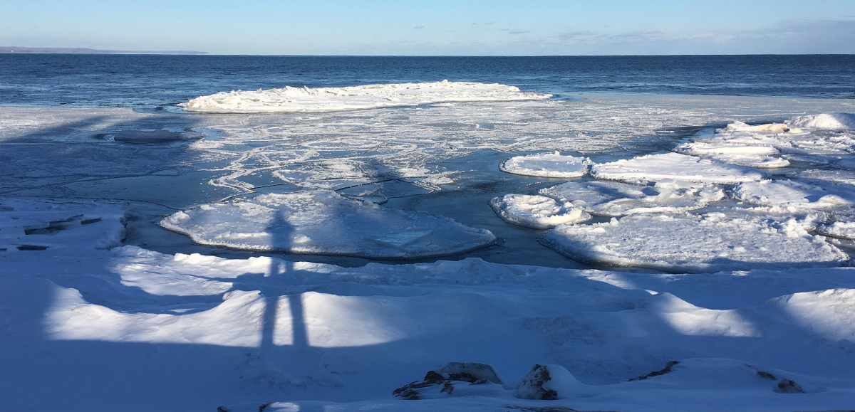 Pancake ice floating in Lake Superior. New ice and shadow of person in foreground.