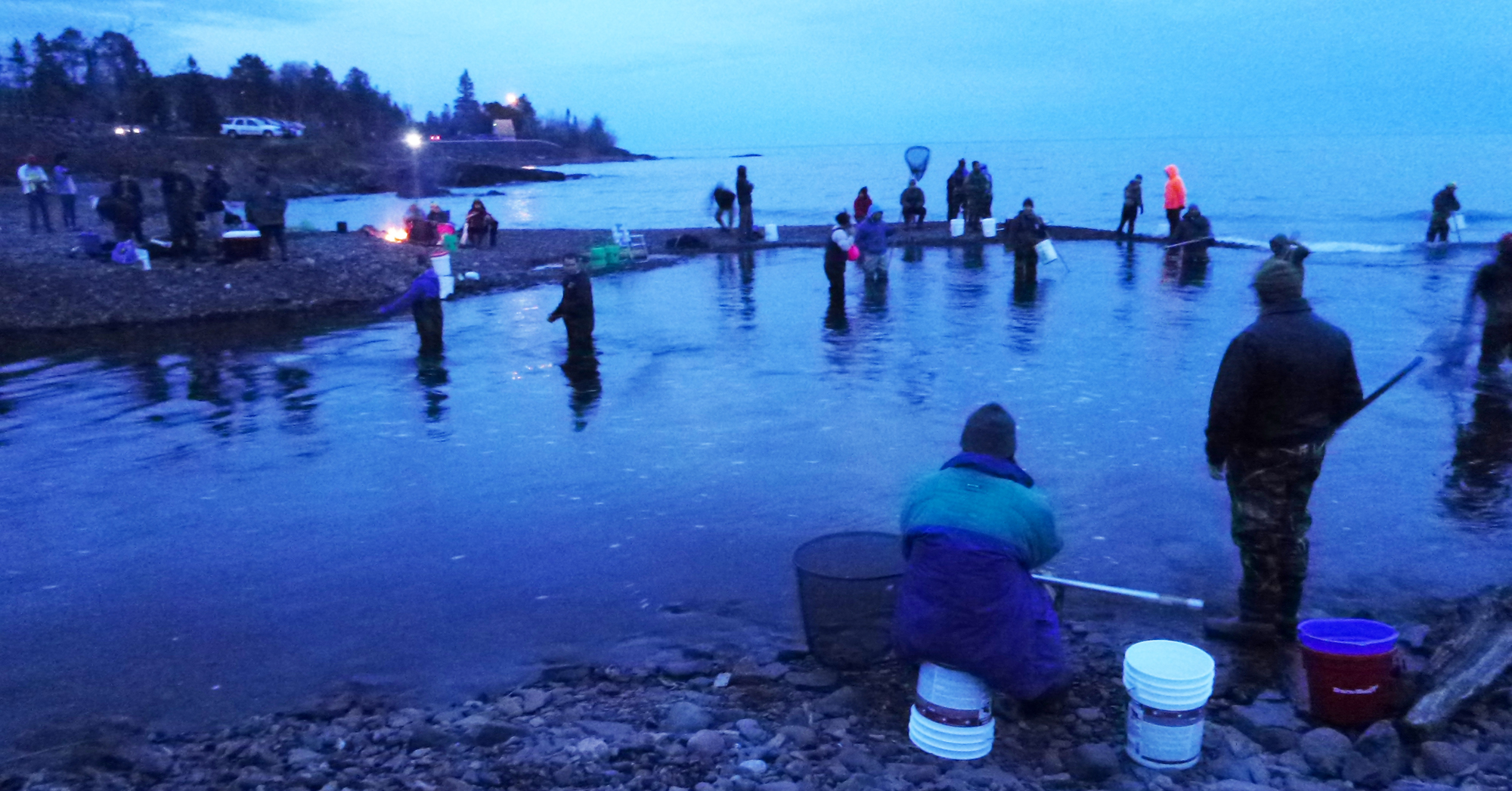 People gathered at river mouth dipping for smelt with long-handled nets during spring spawning run.