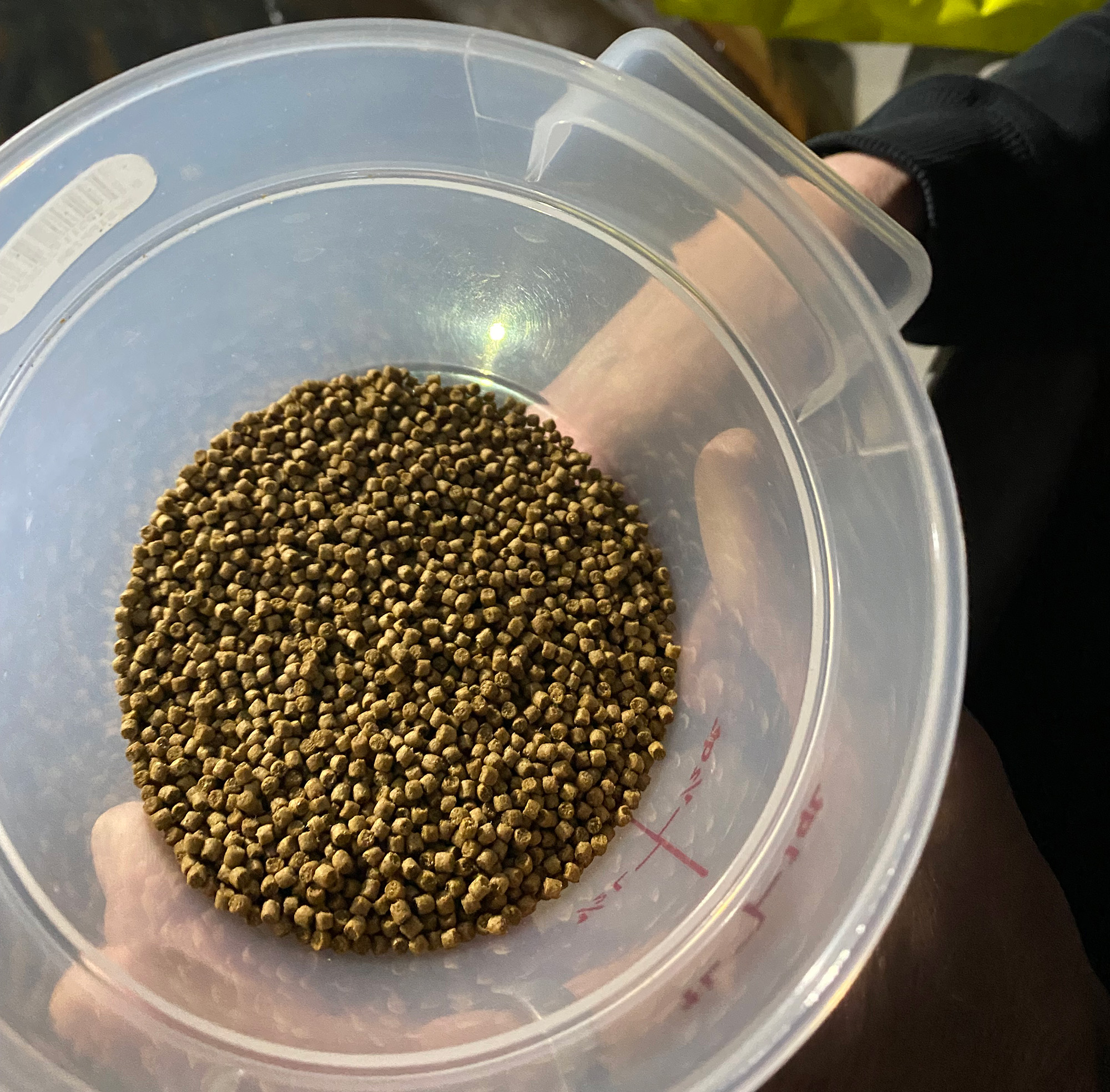 Plastic container with pellet-size fish food