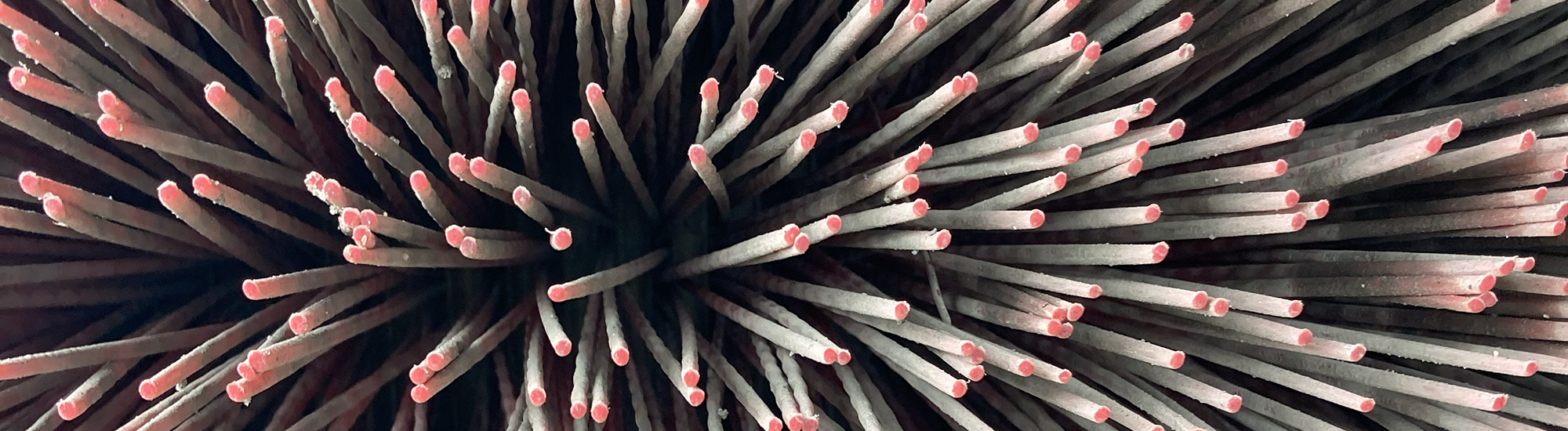 Bristles on a street sweeping truck.