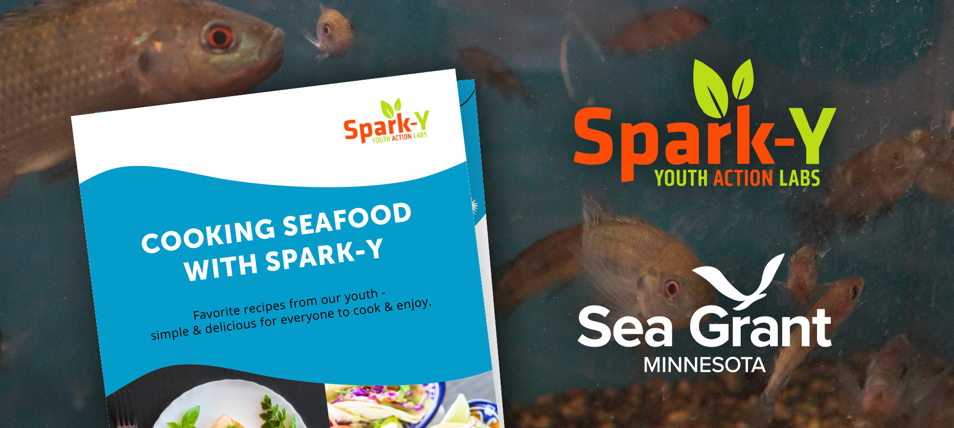 Spark-Y cookbook art