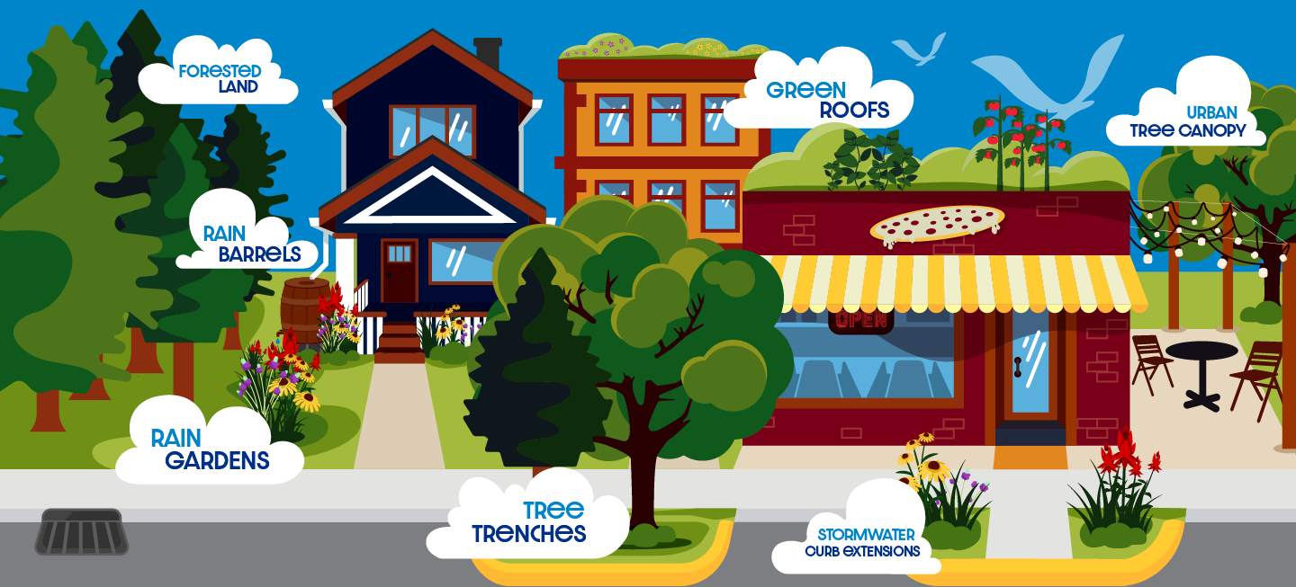 Cartoon of a street with a house, a shop, a building, trees, rain barrels, rain gardens, green roofs, tree trenches, and stormwater curb extensions.