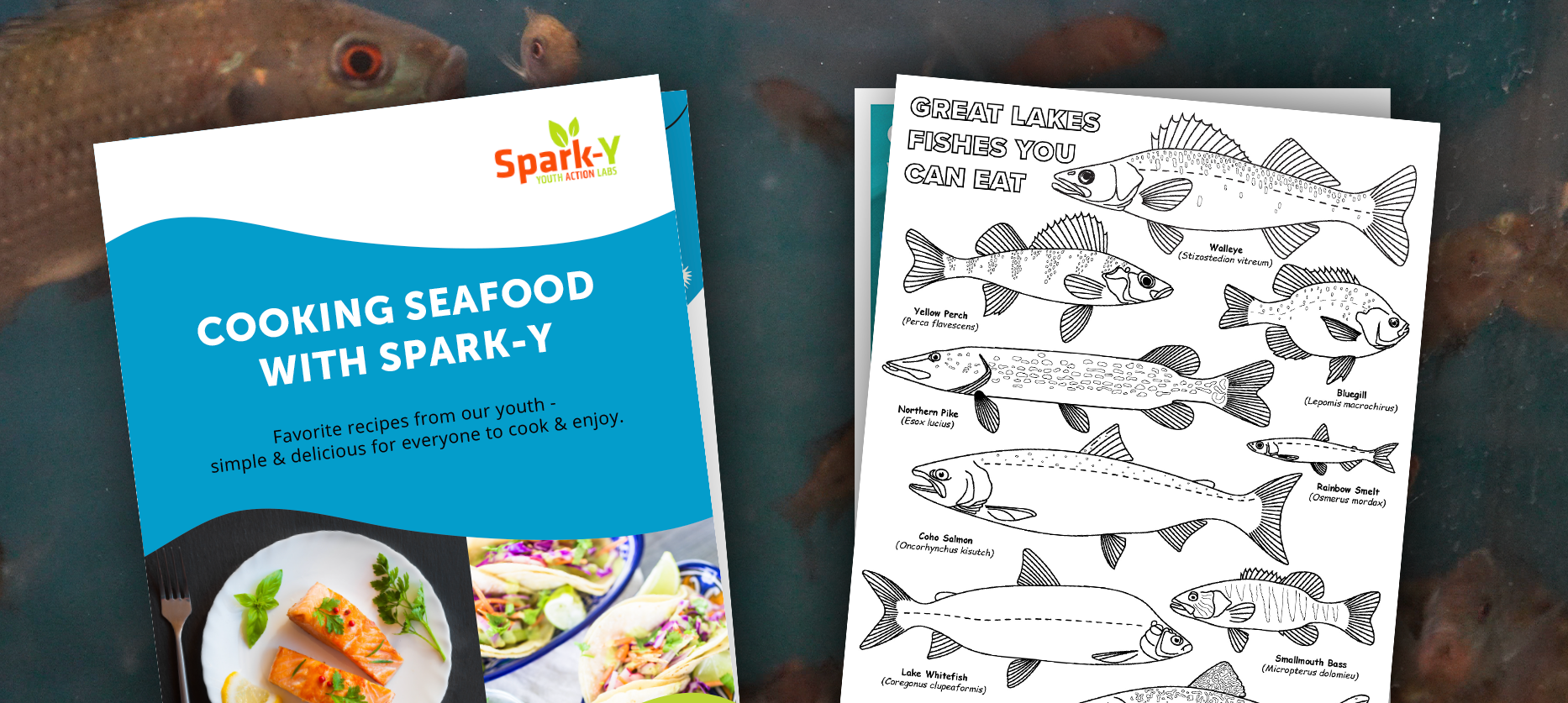 Cooking seafood with spark-y book and great lakes fishes you can eat coloring sheet