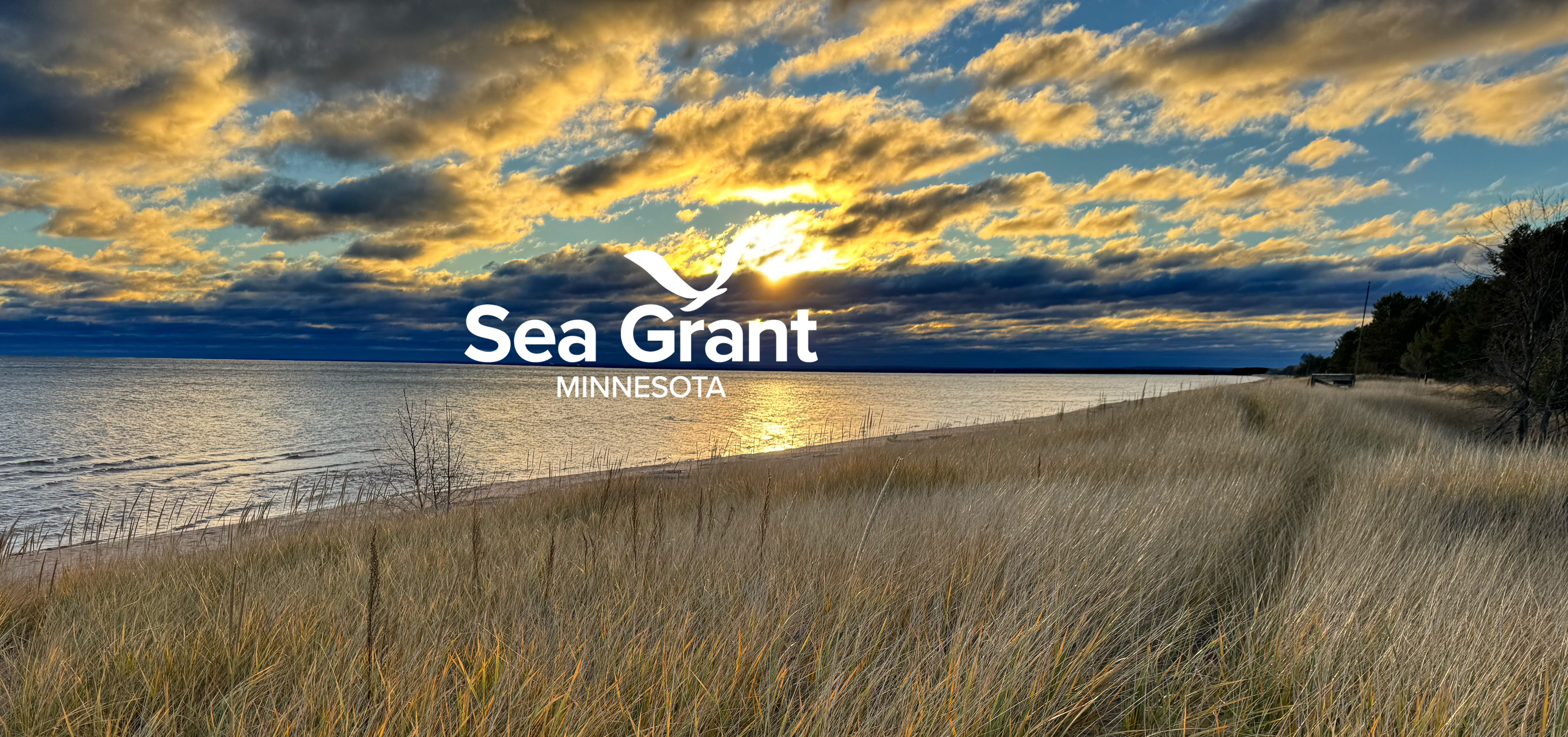 Sunrise, clouds, lake, dune grass.