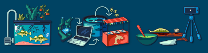 Illustration of an aquaponics system with perch, a cooking show setup with a fish filet on a cutting board, and an aquaculture business cycle from research to tank to fish stand.