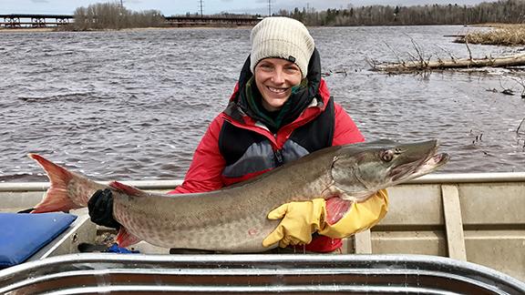 Erin Schaeffer in boat on St. Louis River Estuary holding muskellunge fish. 
