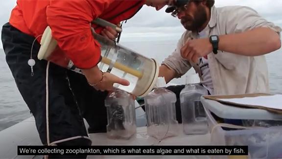 Two men on a boat collecting zooplankton in plastic jugs.