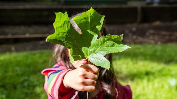 Child holding up a leaf with one hand.