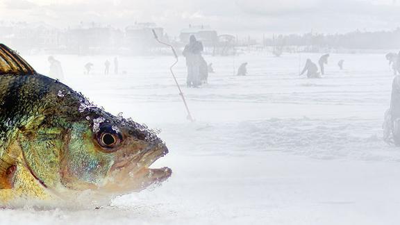 Fish laying on top of snow, ice fishers in background.
