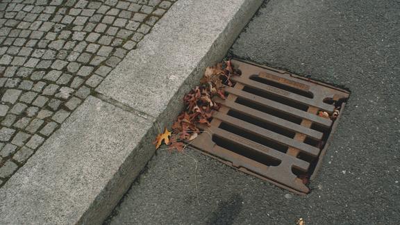 Stormwater sewer drain next to curb.