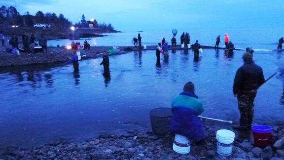 Fishers fishing for smelt at Lester River, Duluth, MN.