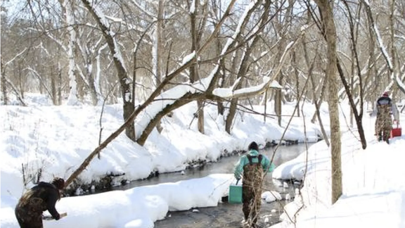Three people wearing camo waders and holding buckets in a stream with snow on the banks.