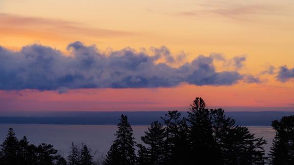 Silhouettes of trees in front of a sunrise over Lake Superior. 