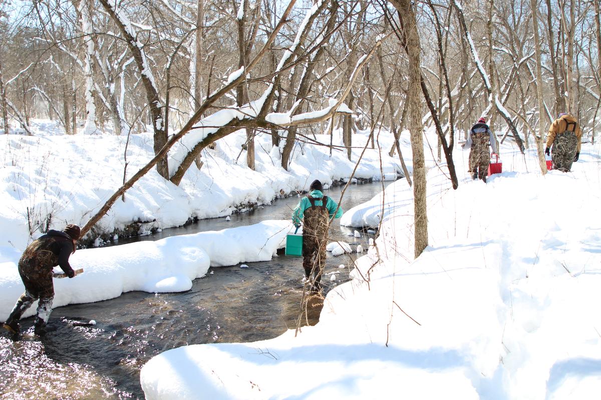 People wearing camouflage waders and carrying plastic buckets in a river surrounded by snow and bare trees.