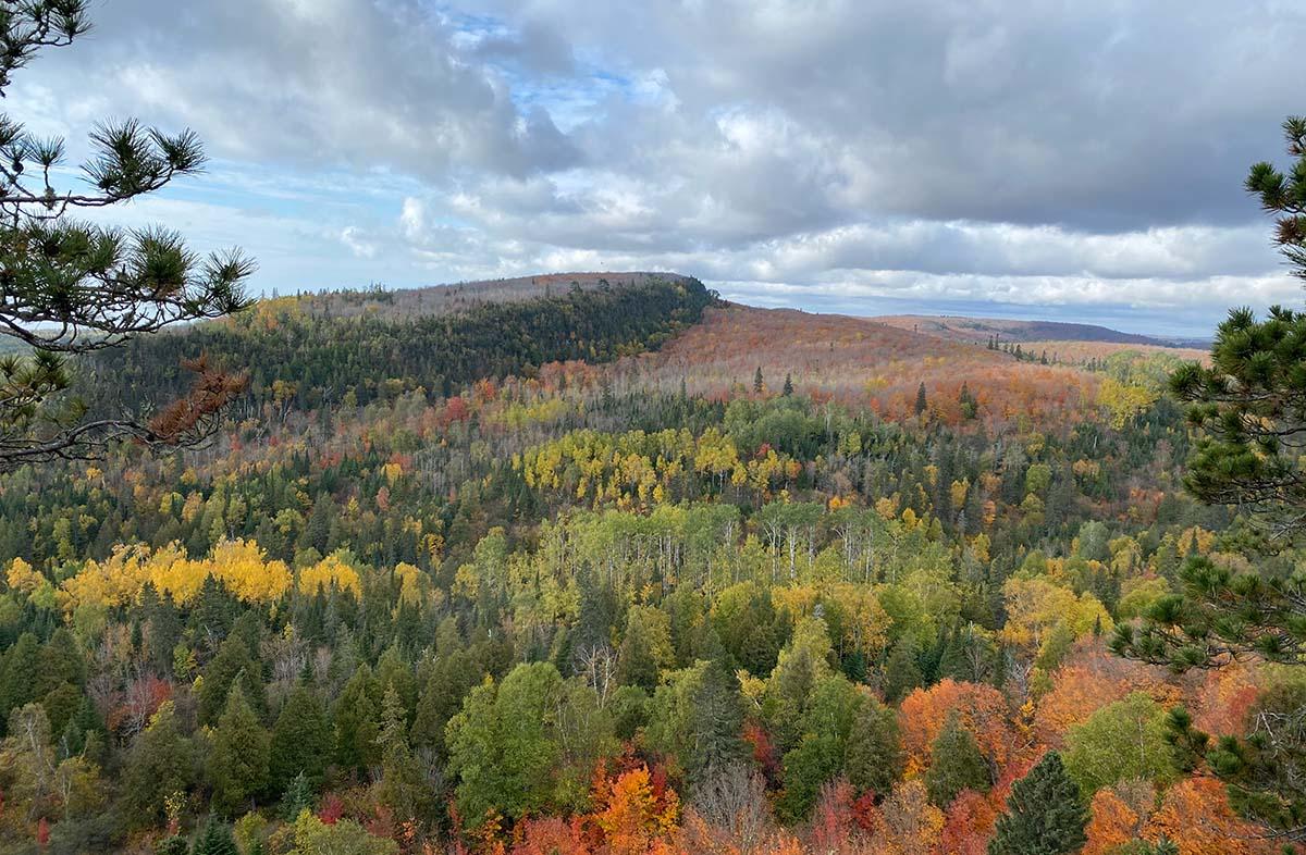 Scenic overlook of Oberg Mountain Loop Hiking Trail