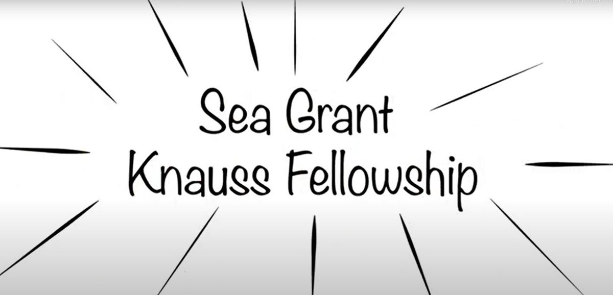 Sea Grant Knauss Fellowship