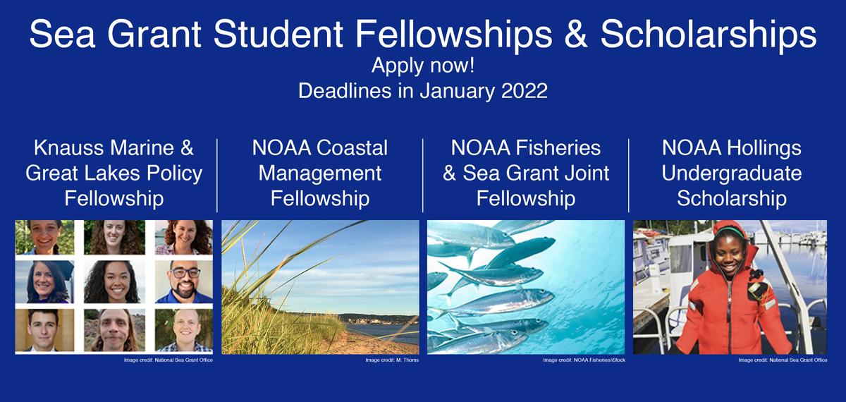 Sea Grant Student Fellowships. Apply now. Deadlines in January 2022. Knauss Fellowship, NOAA Coastal Management Fellowship. NOAA Fisheries & Sea Grant Joint Fellowship. NOAA Hollings Undergraduate Scholarship
