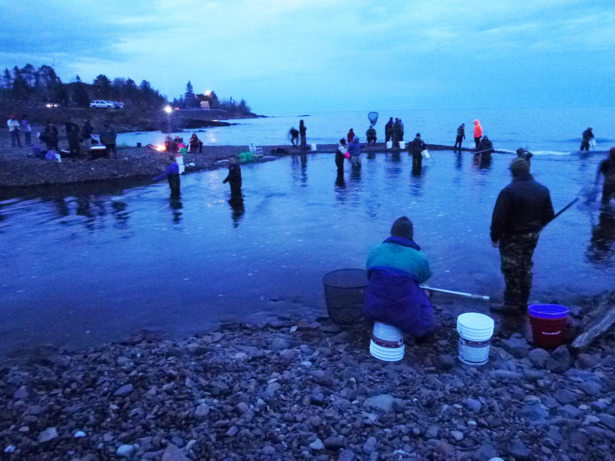 People gathered at river mouth dipping for smelt with long-handled nets during spring spawning run.