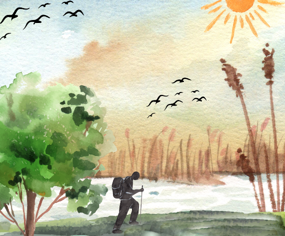 Illustration of person with backpack and walking stick hiking next to a stream with sun and birds and trees and cattails.