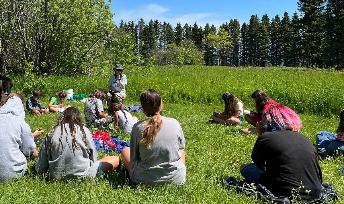 Person reading a book to other people while they all sit in a grassy field on a sunny day. 