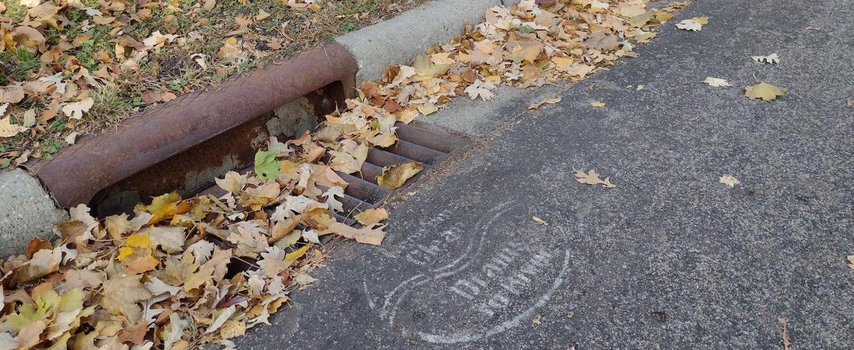 Street curb storm drain clogged with leaves