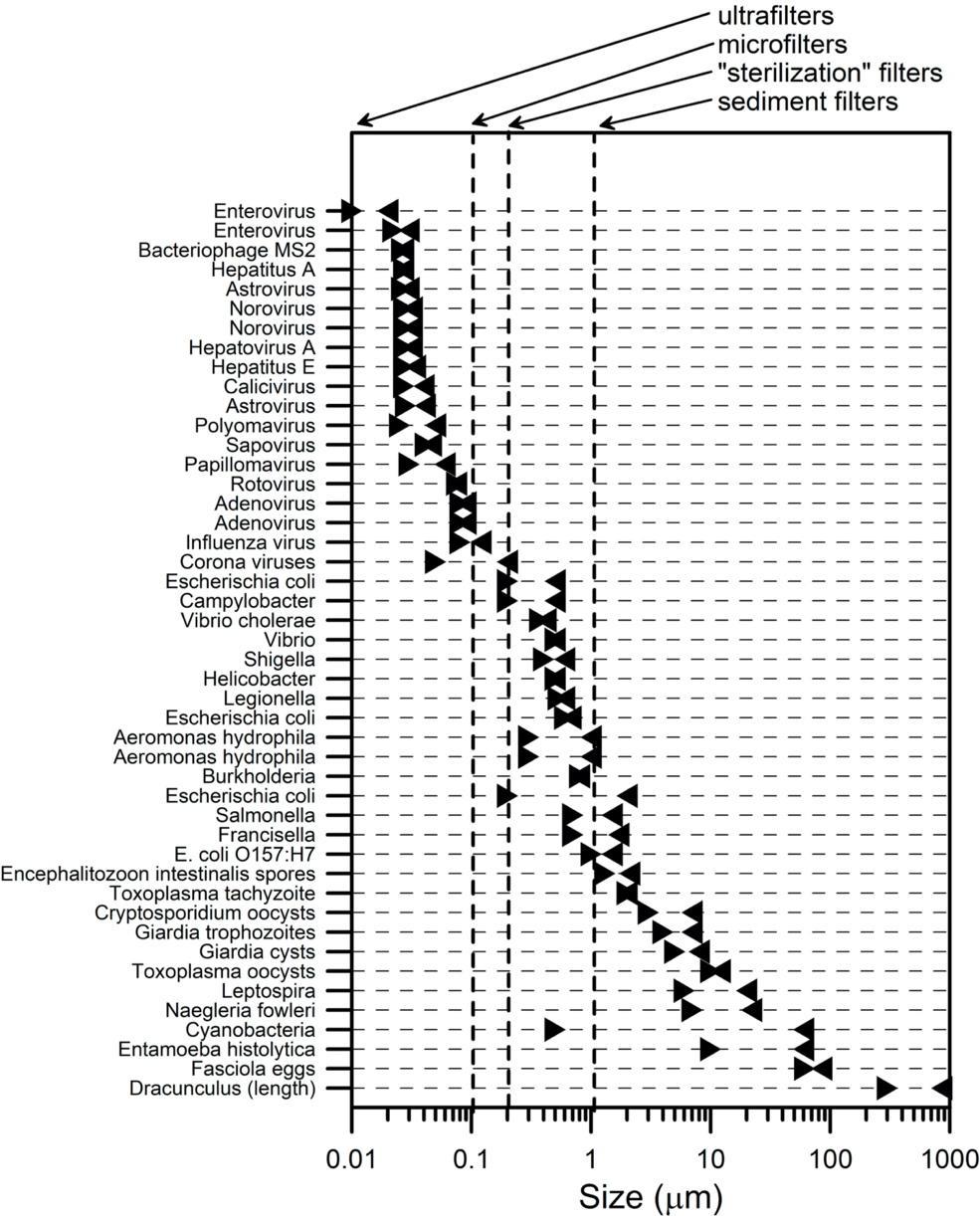 Chart showing sizes of various waterborne pathogens