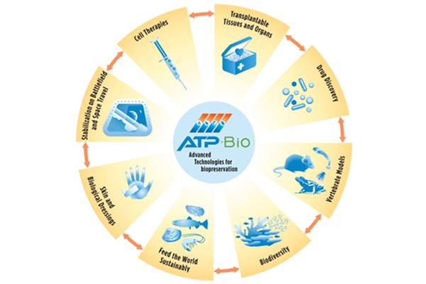 ATP Bio logo