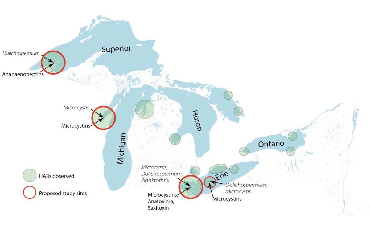 Illustration of all the Great Lakes showing sample sites on lakes Superior, Michigan, and Erie.