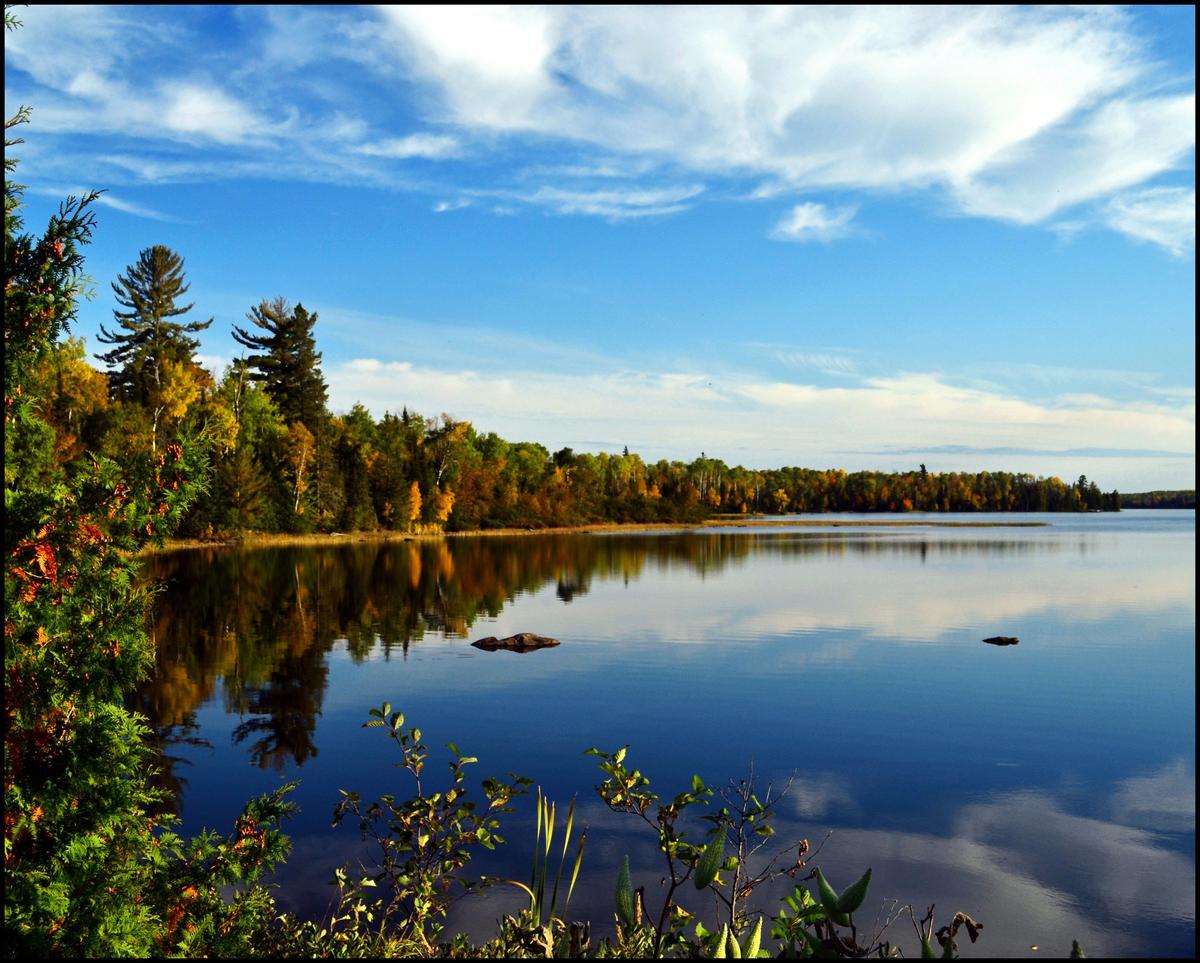 A landscape image of a forested Minnesota lake.