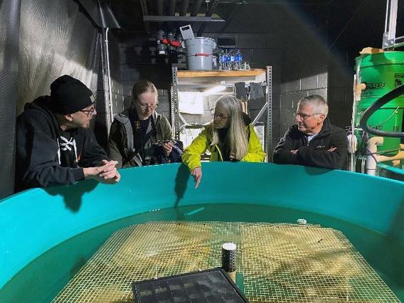 Four people stand at the edge of a tank filled with water and fish.