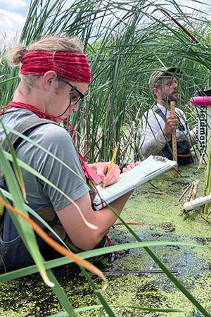 Dylan Dahn and Mike Tuma measuring cattail plots.